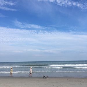 Meet your Posher, Shirley